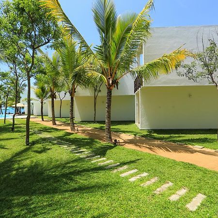 Arugambay Roccos Hotell Arugam Kudah Eksteriør bilde